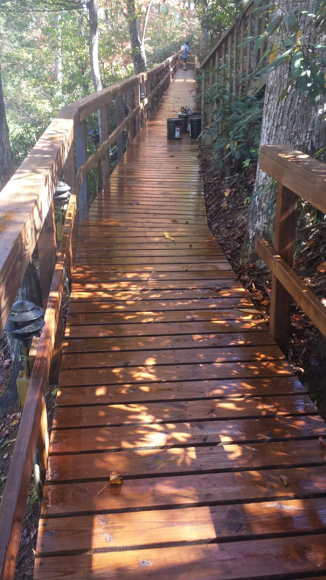Freshly stained wood walkway winding through the woods in Gorham